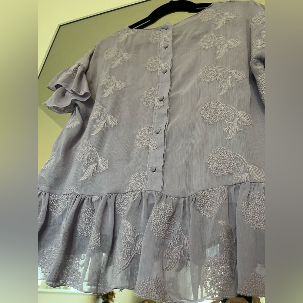 Vertigo Embroidered Ruffled Top - Picture 5 of 10